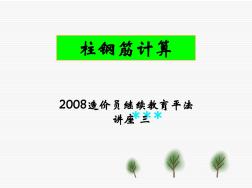 2008造價員繼續(xù)教育平法講座之柱鋼筋