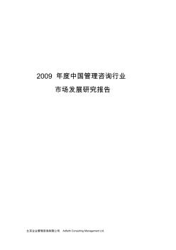 2009年中国管理咨询行业发展报告全文版