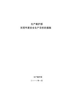 2010年保证实现安全目标措施