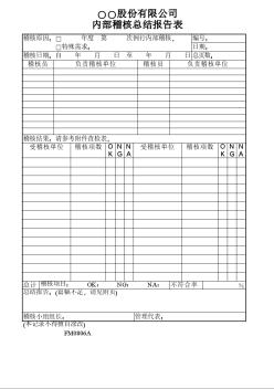 内部稽核总结报告表