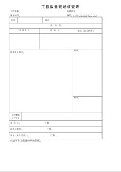 工程数量现场核查表