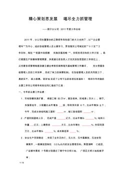 2011年度江苏中兴建设有限公司南宁分公司总结
