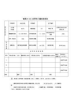 20120711_皮带称计量检验报告