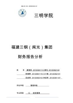 2014年福建三钢(闽光)集团公司财务分析报告