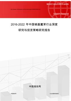 2016-2022年中国硝基氯苯行业深度研究与投资策略研究报告