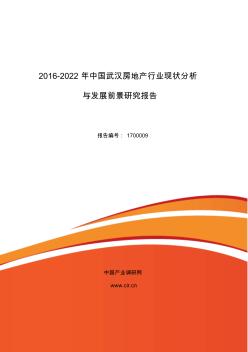 2016年武汉房地产市场调研及发展趋势预测 (2)