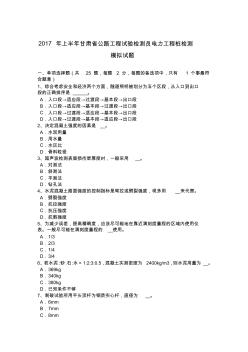 2017年上半年甘肃省公路工程试验检测员电力工程桩检测模拟试题