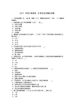 2017年四川省信息B类安全员模拟试题