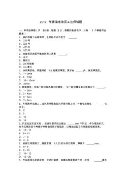 2017年青海省抹灰工技师试题