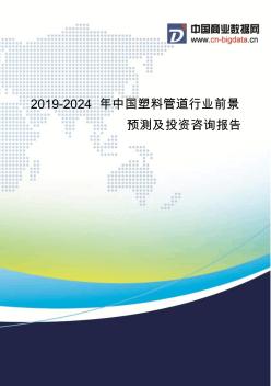 2019-2024年中国塑料管道行业前景预测及投资咨询报告(目录)