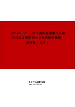2019-2025年中国新能源乘用车电池行业发展研究分析与市场前景预测报告
