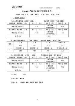 220KV1#站2#動力變壓器2009年試驗報告