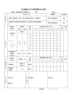 3立井模板分项工程质量检验评定表