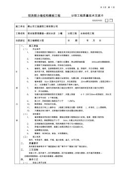 4全现浇剪力墙结构清水模板工程