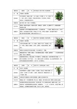 50常见室内盆栽绿化植物介绍(带图片)