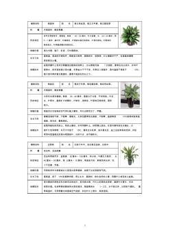 50種常見室內盆栽綠化植物介紹(帶圖片)