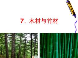 7木材与竹材资料
