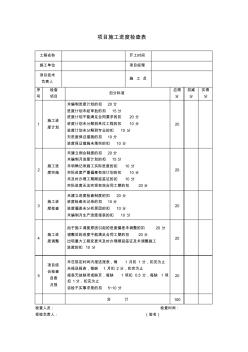 8007项目施工进度检查表