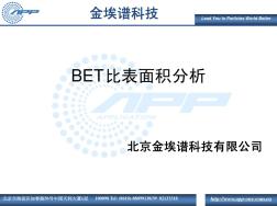 BET比表面積課件