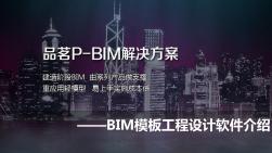 BIM模板工程设计软件的介绍[优质ppt]