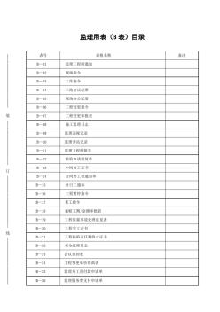 B表监理用表