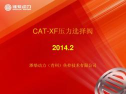 CAT-XF压力选择阀