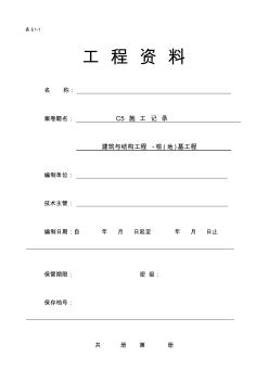 C类建筑与结构-桩(地)基工程施工资料编程范例C5