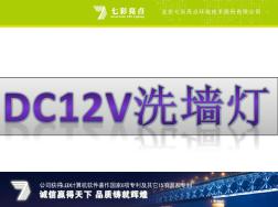 DC12V洗墙灯 (2)