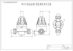 DN15背压阀及安全阀外形尺寸图pdf