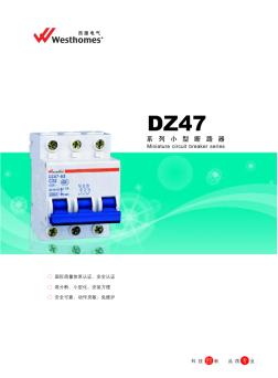 DZ47-63系列小型断路器 (2)