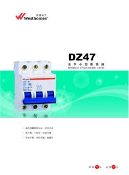 DZ47-63系列小型斷路器 (2)