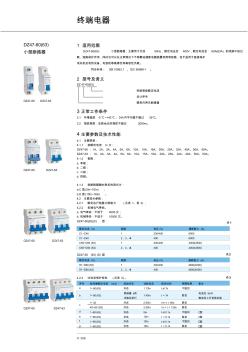 DZ47-60(63)小型断路器