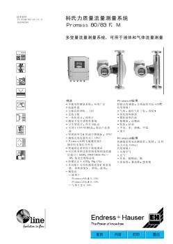 E+H質量流量計選型表