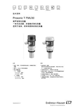 E+H超声波液位计资料