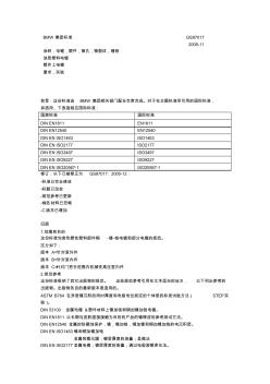 GS97017BMW电镀标准中文版08