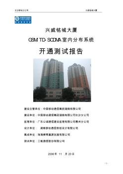 GSM-TDSCDMA室內(nèi)分布系統(tǒng)開通測試報告模板