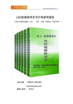 LED封装线项目可行性研究报告(专业经典案例)