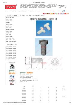 PC板尼龍螺絲-NSCH型