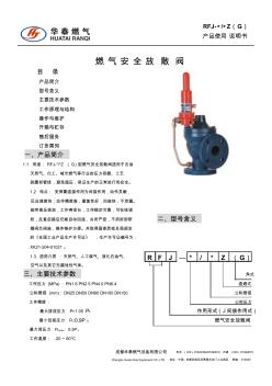 RFJ-安全放散阀