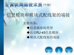 RJ-45信息模块和模块式配线架的端接资料