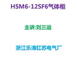 SF6气体柜,首选HSM6-12KV.