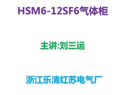 SF6氣體柜,首選HSM6-12KV.