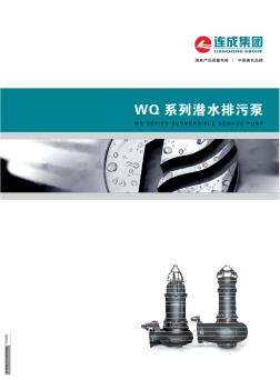 WQ潜水泵 (2)