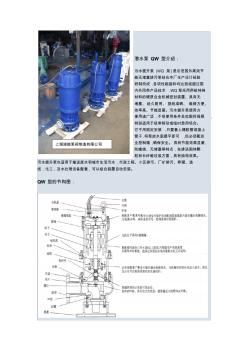 WQ潜水泵上海速能泵阀制造有限公司
