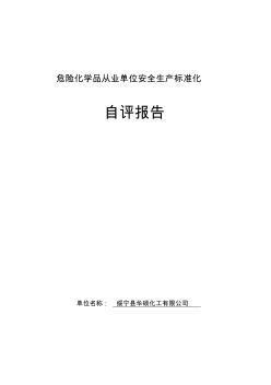 XXXXXXX化工有限公司危化品企业安全标准化自评报告