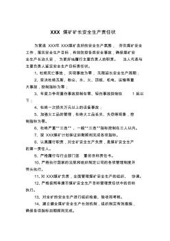 XXX煤礦安全生產(chǎn)責(zé)任狀