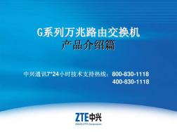 ZXR10_G系列万兆路由交换机_产品介绍篇NO4
