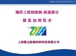 ZYZF-海洋工程构筑物-桩基部分修复加固技术