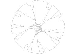 【CAD图纸】橡胶榕(平面图)