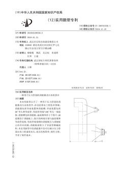 【CN209762536U】一种用于压力管道的消能器及污水检查井【专利】